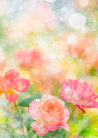 薔薇(バラ)の花の着せかえ(R1766)