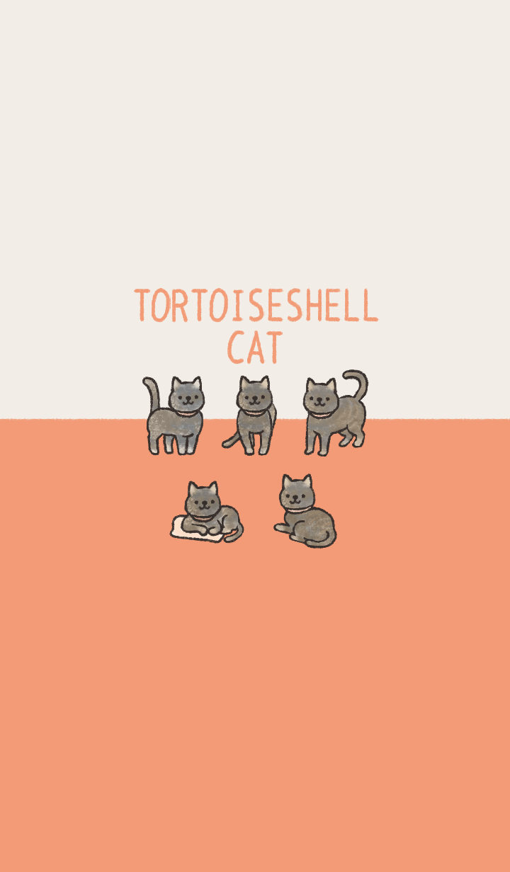 Doodle tortoiseshell cat :3