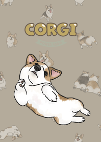 corgicorgi8 / khaki