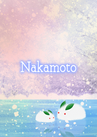 Nakamoto Snow rabbit on ice