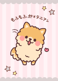 もふもふポメラニアン