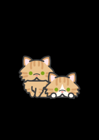 Short snout Cat*darkmode*long-haired*RT