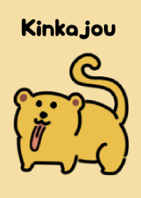 Cute Kinkajou theme