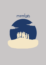 meerkats