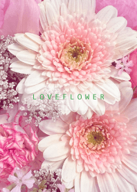 LOVE FLOWER-WHITE&PINK 107