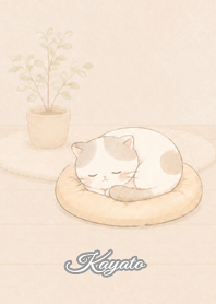 Cozy Lazy Cat: Kayato