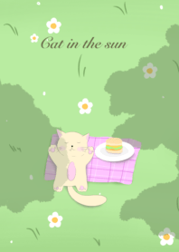 Cat in the sun.