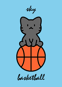 black cat sitting on a basketball skyA