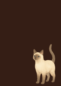 Siamese cat holiday brown