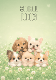 Pretty Small Dog  In Clover Land