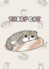 tabbycat10 / beige
