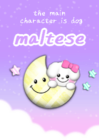 sky1 maltese dog theme purple