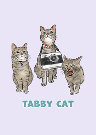 tabbycat11 - light purple