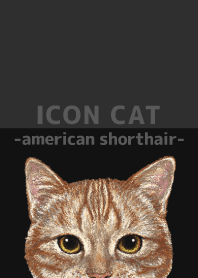 ICON CAT - American Shorthair - BLACK/06