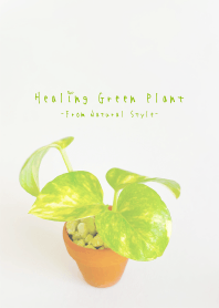 Healing Green Plant