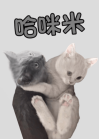 哈咪米