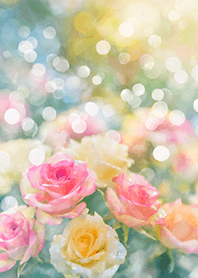 Beautiful rose flower(R1477)