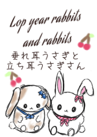 Lop year rabbit and normal rabbits theme