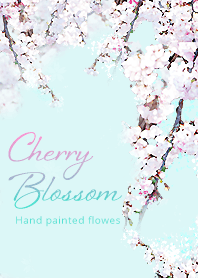 Cherry blossoms of the watercolor
