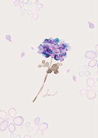 Classical flower.1