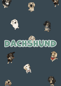 dachshund6 - dark indigo