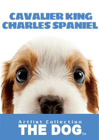 THE DOG Cavalier King Charles Spaniel 2