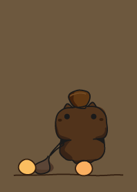 cat staring - 39 - dark brown