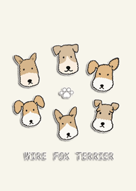 Many Wire Fox Terriers!