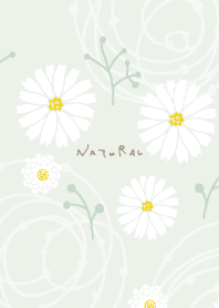 Simple white flower4