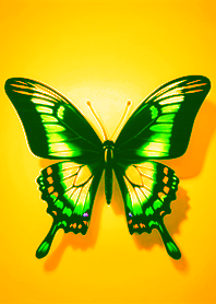 Simple beauty spread wings butterfly 13