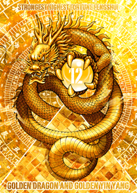 Golden dragon and golden YinYangLucky 12