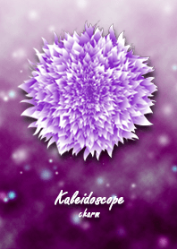 Kaleidoscope _ flowers