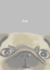 lucky pug