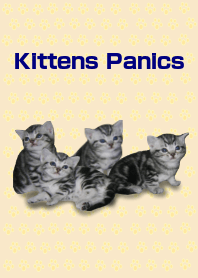 Kittens panics