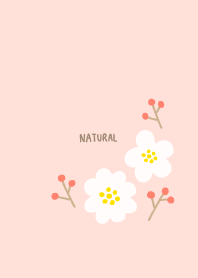 2 flowers adult27 from Japan