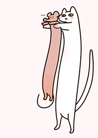 Super cute standing cat 3-2