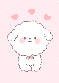 my puppy Bichon _pink