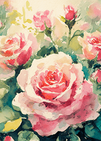 Beautiful rose flower(R4369)