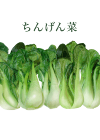 Bok choy 15