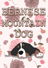 Bernese Mountain Dog and flower Theme