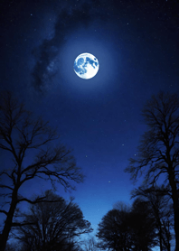 Bright Moon and Dawn D3d442