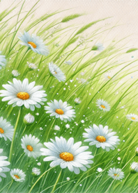 Cheerful Daisy 024
