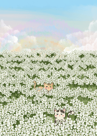 White flower field with baby cat