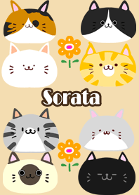 Sorata Scandinavian cute cat