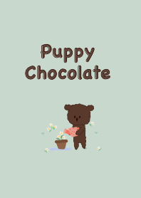 Puppy Chocolate (green)