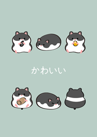 我養的黃金鼠-黑熊鼠(輕薄荷)