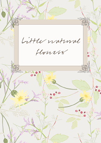 Little natural flowers 17