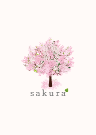 S A K U R A 76 – LINE theme | LINE STORE