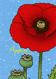 Poppies