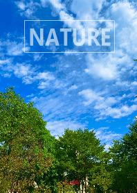 The nature 21